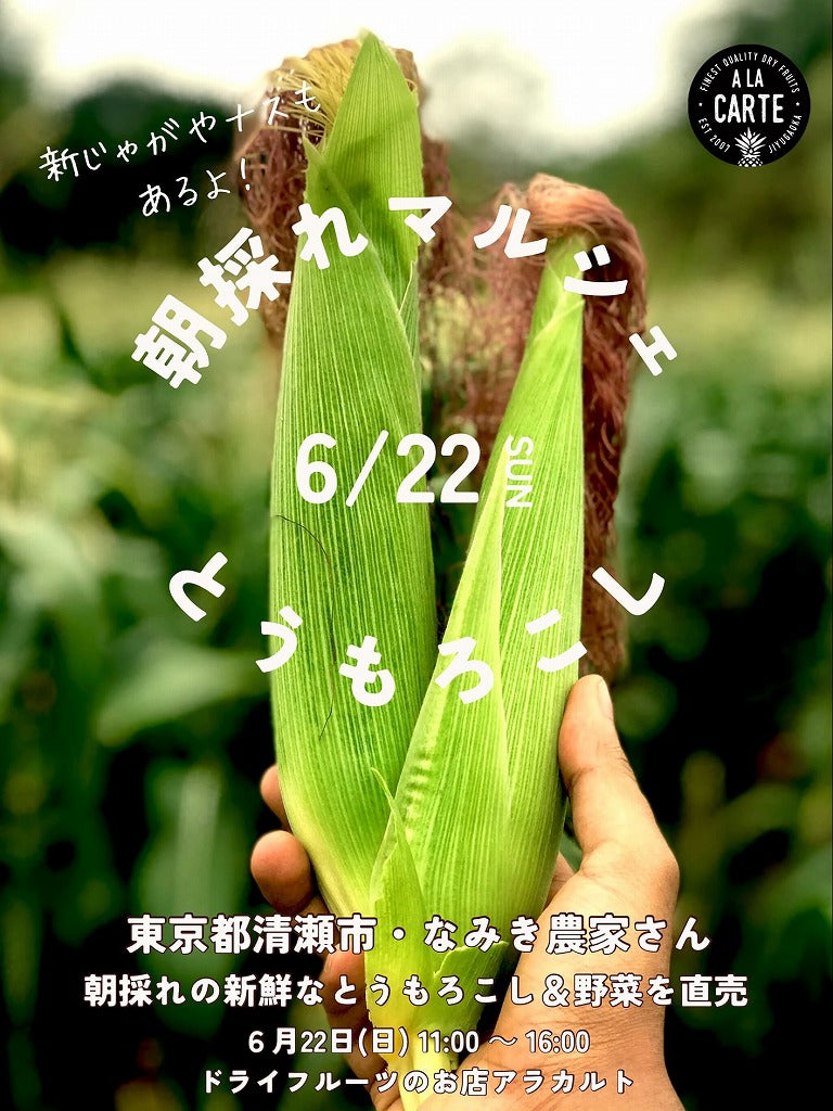 ＜イベント＞6/22(日)・朝採れとうもろこし＆野菜の販売会を開催します！