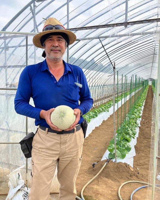 茨城県鉾田市のメロン農家さん